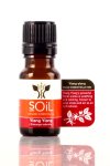 Organic Ylang Ylang Essential Oil - 11ML
