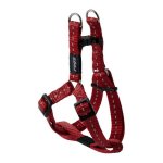Rogz Utility Small 11mm Nitelife Step-in Dog Harness Red Reflective