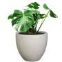 Planted Egg Shade - Amper / Monstera Deliciosa