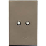 Dual Satellite Socket Wt 100MMX50MM
