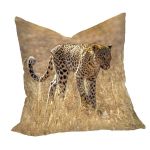 Leopard Luiperd Panthera Pardus Kgalagadi Square Tablecloth By Fanie Heymans