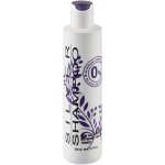 Shampoo 250ML - Silver