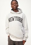 Hoodie - Light Grey new York