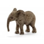 Wildlife - African Elephant Calf