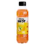 Lifeway Shot Ginger Tangawizi 200ML