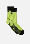 Trail Run Sock Crew - Fizz Lime