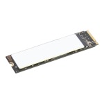 Lenovo 4XB1N36075 1TB M.2 Pcie 4.0 Nvme Internal SSD