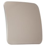 Blanking Plate Excludes Fixing Frame - Champagne - Buy Online At 7 Triple 7