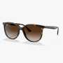 Havana Frame Brow Gradientbrown Lens Sunglass 4AB
