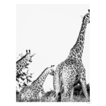 Mother's Child Art Print - A3