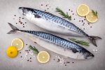 Atlantic Mackerel Whole 1.2 1.8KG 3KG R100 KG