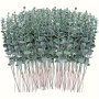 12-48pcs Artificial Eucalyptus Stems Green Eucalyptus Stems Eucalyptus Leaves Eucalyptus Branches Fake Eucalyptus For Vase Wedding BouquetHome