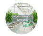 Cannabis 101 Fundamentals Bundle Course - 20TH Oct