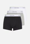 Calvin Klein Trunk 3 Pack - Multi