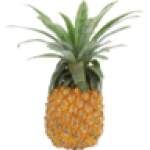 Medium Queen Pineapple Half