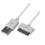 MicroWorld Male USB To 30 Pin Ipad Cable