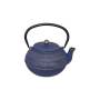 Navy Cast Iron Teapot 900ML