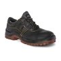 Safety Shoe Dot Cobalt Black Various Sizes