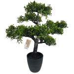 317220120-1 Bonsai Tree In Pot 50CM