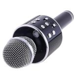 Wireless Microphone Karaoke Speaker For Smartphones – Black