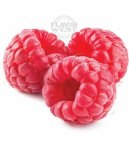 Raspberry Concentrate - 10ML