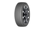 Dunlop 225 65R17 102V FM800