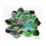Dr 1 Art Print - 25 W X 22 H Cm