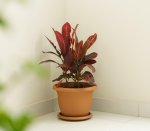 Villa Pot NO:7 8 8LT 21 5CM Terra