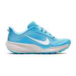 Nike Men's Acg Pegasus Trail Running Shoes