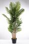 Artificial Premium Palm Tree - 1550MMH