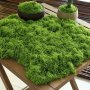 Realistic 20G Artificial Moss For Diy Crafts & Home Decor - Lifelike Green Plant Grass Perfect For Miniature Landscapes & Wedding Decorations