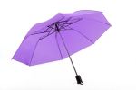 Alice Umbrellas 2 Fold MINI Compact