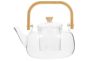 Transparent Glass Teapot With Removable Infuser Borosilicate Tea Kettle