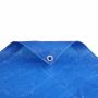 Waldo Tarpaulin 3.6M X 4.8M Heavy Duty 180G