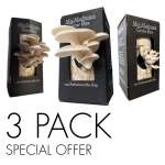 MINI Mushroom Variety Box Set 3 Pack