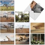 The Best Card Company - 10 Blank Animal Cards Boxed 4 X 5.12 Inch - Assorted Pets Zoo Wildlife Cards For Men And Women