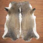 B Grade Nguni Hide 570 Tricolour XL - Extra Large Tricolour Panelled