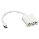 MicroWorld MINI Display Port Male To Dvi Female
