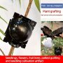 10pcs Reusable Plant Root Growing Box High Pressure Rooting Ball Cutting Grafting Rooting Box Garden Rooting Propagation Ball Breeding Equipment