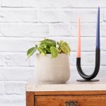 Philodendron Brasil - In Concrete Helia Planter