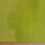 Swiss Fleece GREEN-1 Fabric