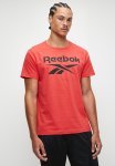 Reebok Identity Big Logo Tee - Vecred