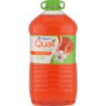 50% Apple Berry Fruit Nectar Juice Bottle 3L