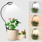 Wolezek 2 In 1 Grow Lights For Indoor Plants 3 Colors Plant Lights For Indoor Growing With 360 Gooseneck 48 Leds Full Spectrum P