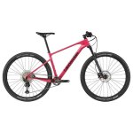 Scalpel Ht Carbon 4 2026 - XL