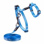 CAT Rogz Z Kiddy 8MM Extra Small H-harness And Lead Combination Royal Birds Design Waggs Pet Shop