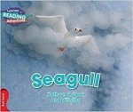 Seagull Red Band Paperback