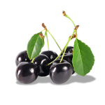 Black Cherry Concentrate - 10ML