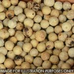 Peppercorns White – Whole