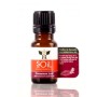 Organic Cinnamon Leaf Essential Oil